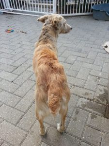 12746028_10207395865749736_1561572789_n