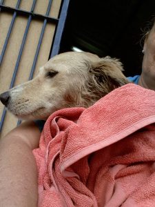 12767624_10207395868269799_294347148_n