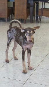 12788247_10207444307480749_1492424851_n