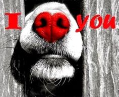 c033251804707e21d48d23916925f1bb