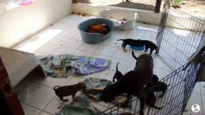 10Kyla en janis klein