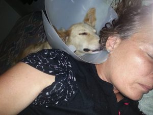 11997359_10207500731811322_1137966311_n