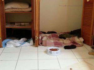 12188282_10207554345391628_1520202145_n