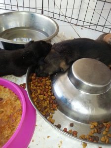 12674319_10207626775162327_1794182503_n