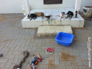 12809518_482016258656932_2598863513668427308_n