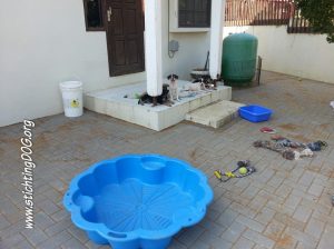 12814196_482016245323600_8361692828423678203_n