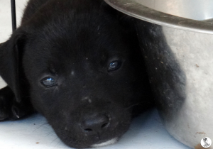 14Kyla en janis klein