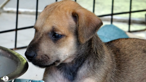 15Kyla en janis klein