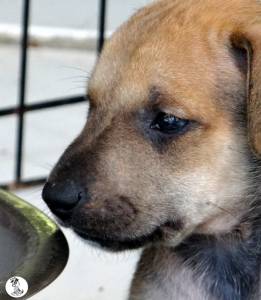 16Kyla en janis klein