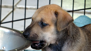 17Kyla en janis klein