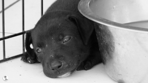 18Kyla en janis klein