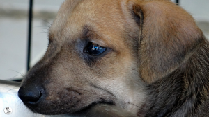 19Kyla en janis klein