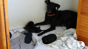 1Kyla en janis klein