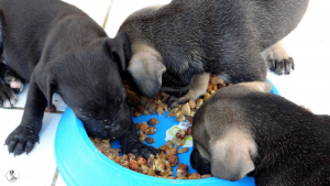 20Kyla en janis klein