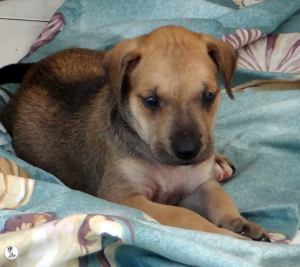 23Kyla en janis klein