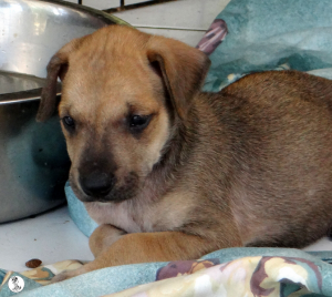 24Kyla en janis klein