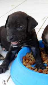 25Kyla en janis klein