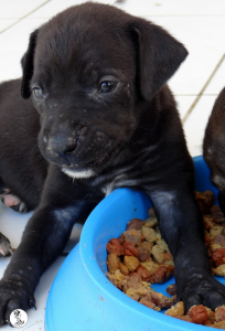 26Kyla en janis klein