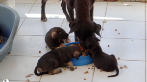 27Kyla en janis klein