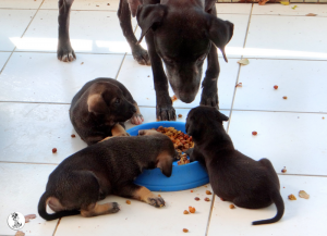 28Kyla en janis klein