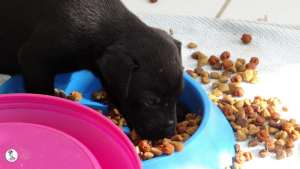 29Kyla en janis klein