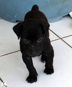 30Kyla en janis klein