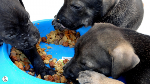 31Kyla en janis klein