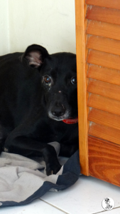 32Kyla en janis klein