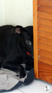 33Kyla en janis klein