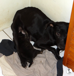 34Kyla en janis klein