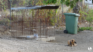 37Kyla en janis klein