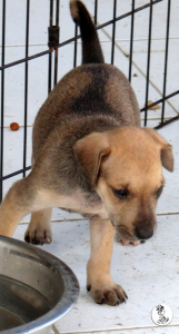 38Kyla en janis klein