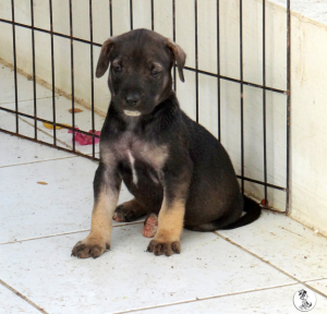 40Kyla en janis klein