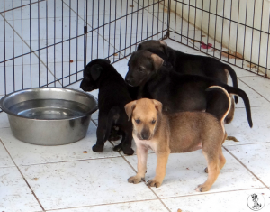 41Kyla en janis klein