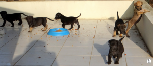 42Kyla en janis klein