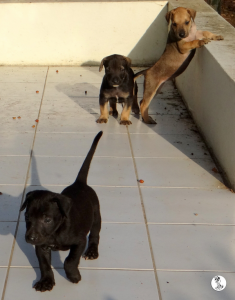 43Kyla en janis klein