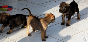 45Kyla en janis klein