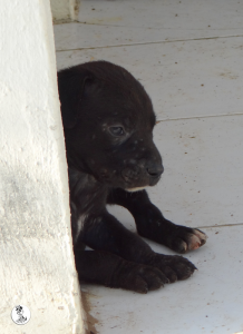 46Kyla en janis klein