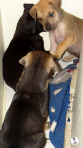 48Kyla en janis klein