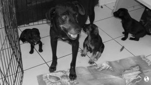 49Kyla en janis klein