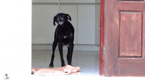 4Kyla en janis klein