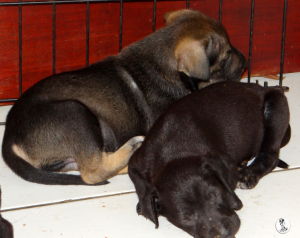 50Kyla en janis klein