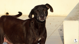 54Kyla en janis klein