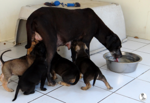 55Kyla en janis klein