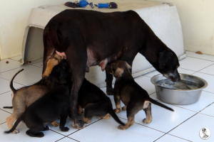 56Kyla en janis klein