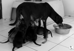 57Kyla en janis klein