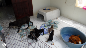 5Kyla en janis klein