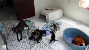 6Kyla en janis klein