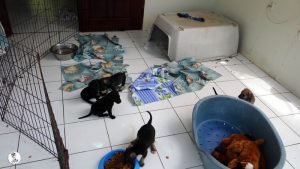 7Kyla en janis klein