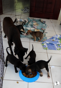 8Kyla en janis klein